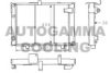 AUTOGAMMA 100805 Radiator, engine cooling